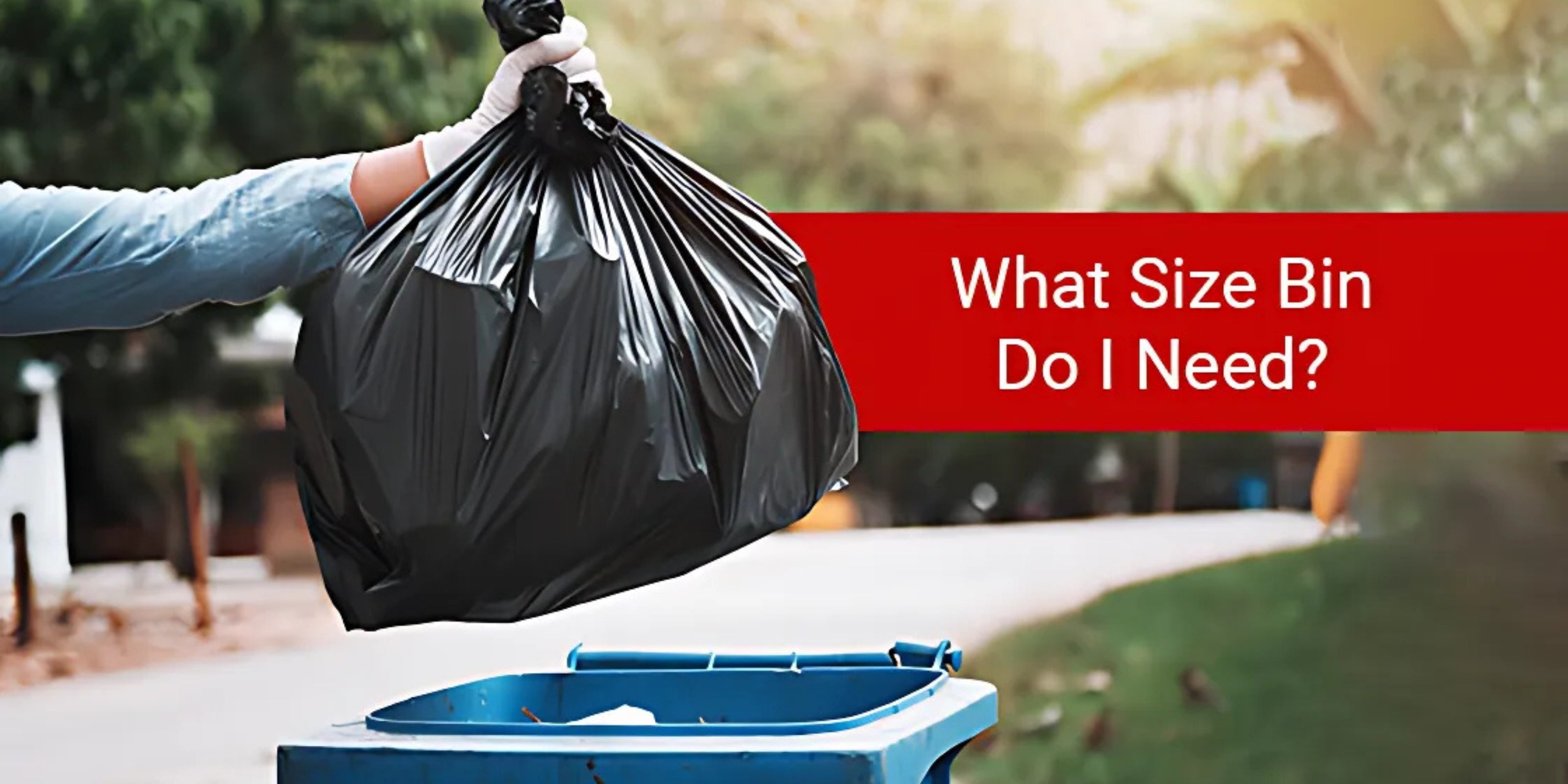 What Size Bin Do I Need?