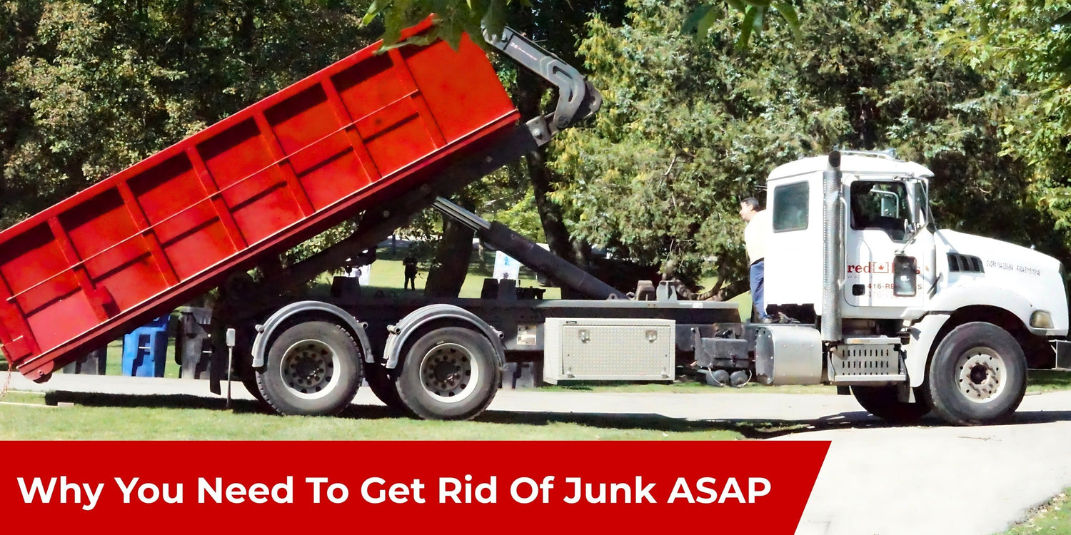 Why You Need To Get Rid Of Junk ASAP Instead of Letting it Pile Up
